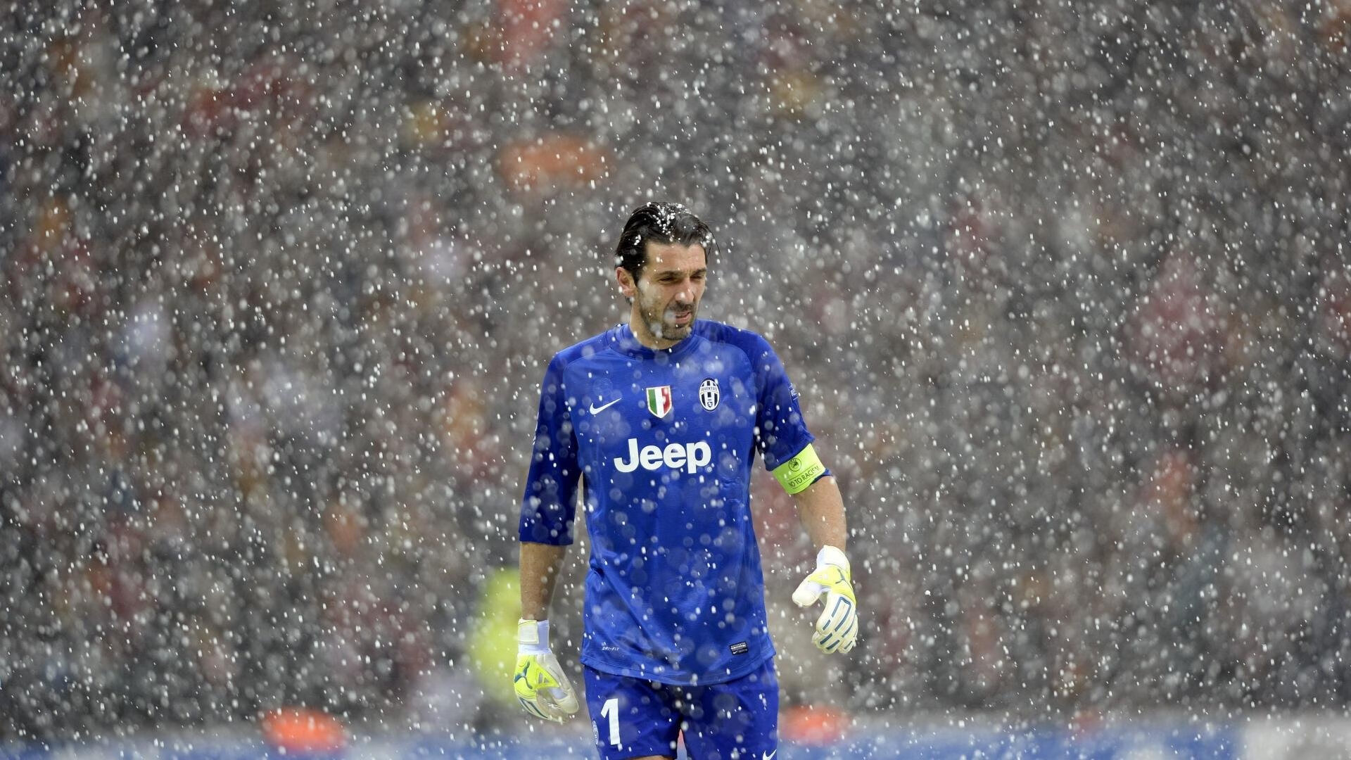 仰泳分项德国节奏感掌控出色，仰泳bd